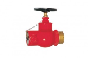 Straight Through Landing Valve (Horizontal Type)
